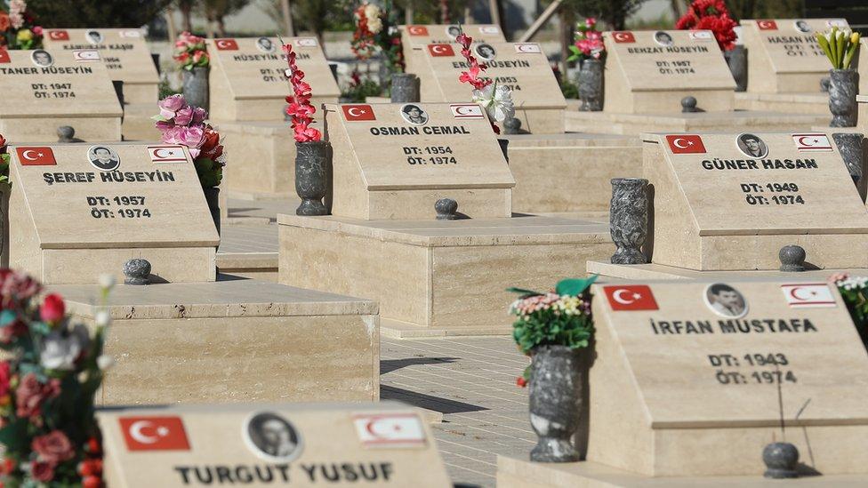 Chipre: los cuerpos de tres desaparecidos hallados después de 32 años gracias a un árbol que brotó “en un lugar inusual”