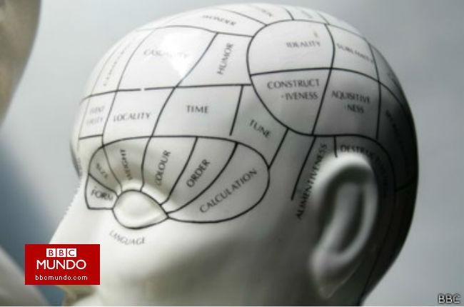 Una tomografía dice si eres de izquierda o derecha