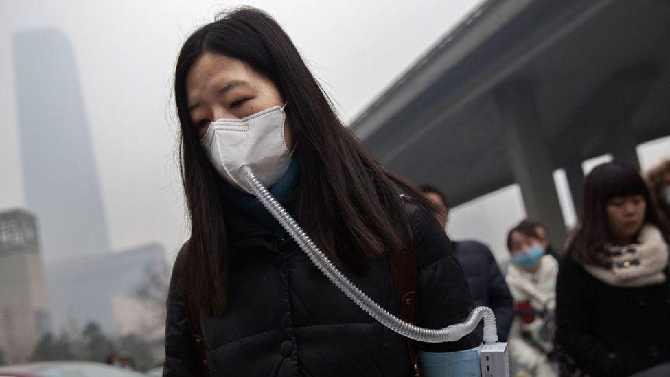 El factor ambiental que puede afectar nuestra capacidad cognitiva