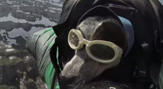 En memoria del deportista extremo Dean Potter