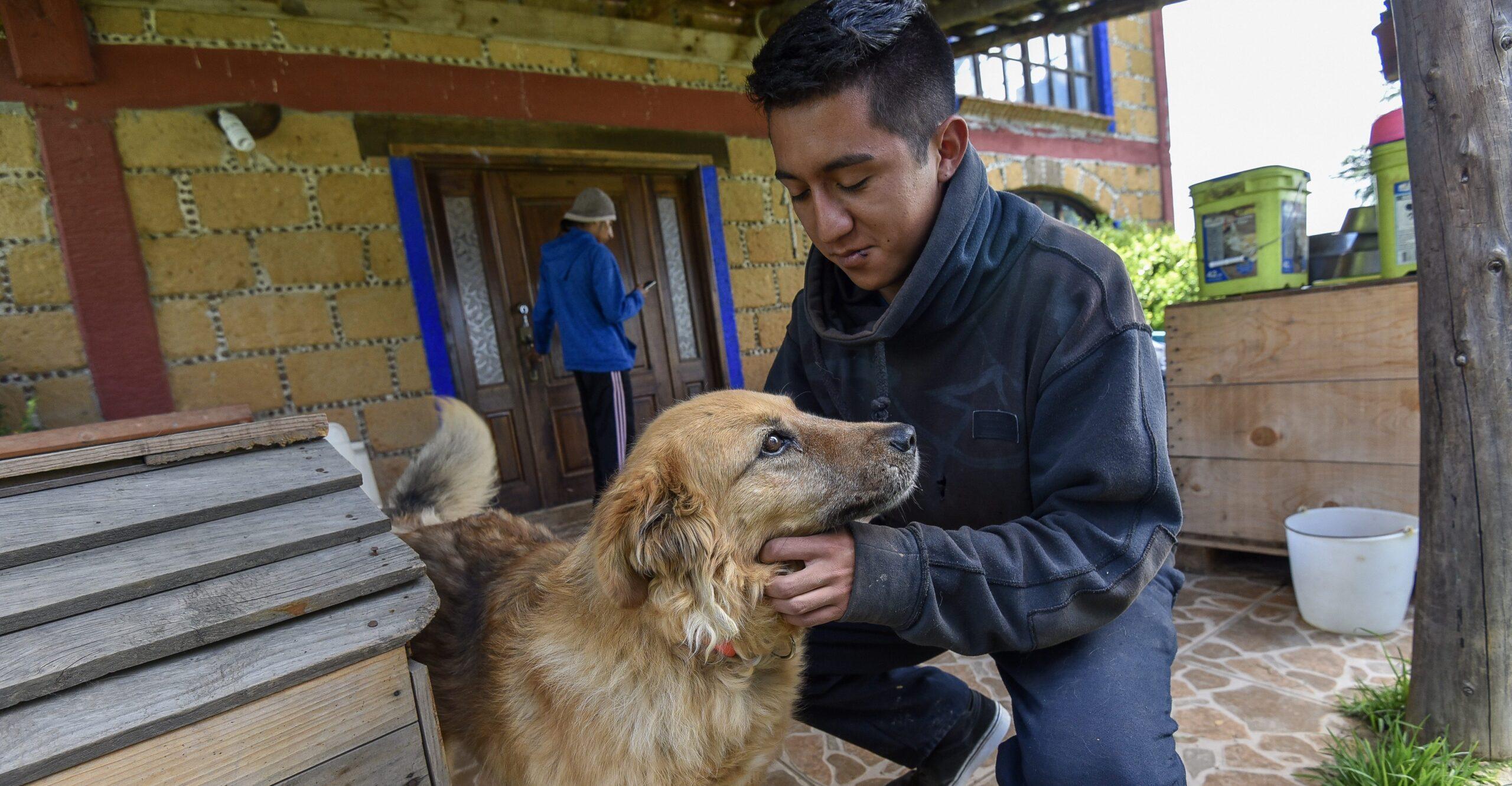 Si este 2020 quieres apoyar una buena causa, checa este listado de organizaciones