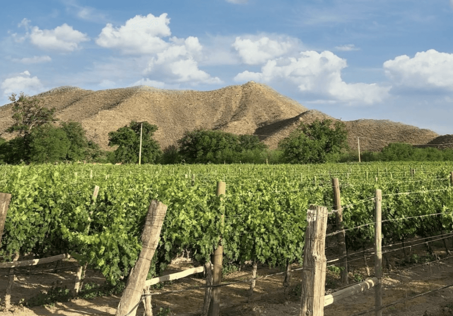 Casa Madero cierra sus puertas al turismo en Parras, tras toma de instalaciones