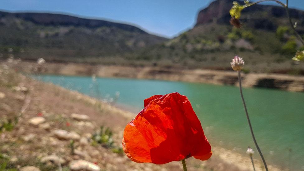 Tus fotos: árido, desolado y seco como la tierra sin agua