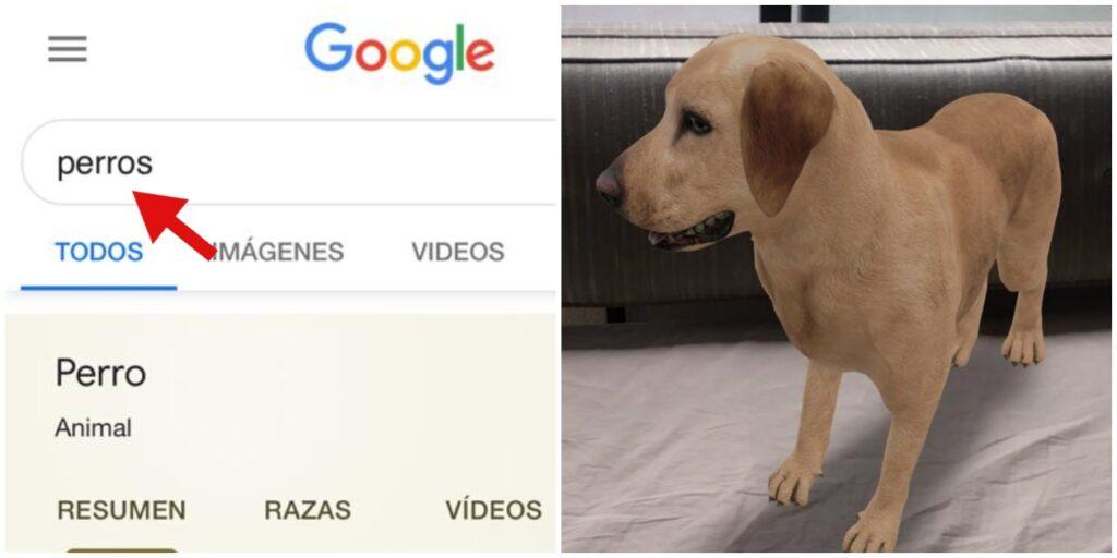 Así puedes ver animales 3D desde el buscador de Google