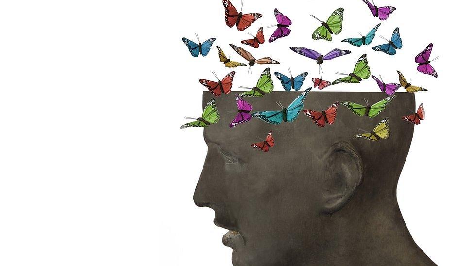 Qué son las mariposas del alma que tenemos en nuestro cerebro y por qué es clave que hayan descubierto qué marca su destino