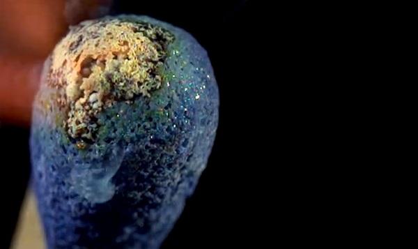 La llama de un cerillo, como nunca la habías visto