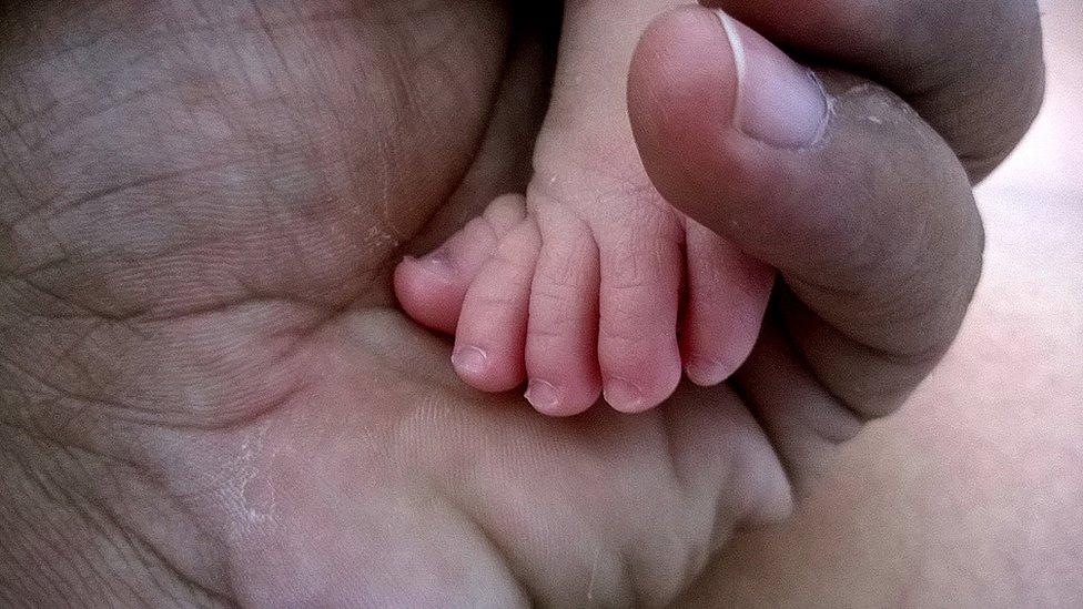 Tus fotos: las cosas pequeñas y minúsculas que inspiran grandes imágenes