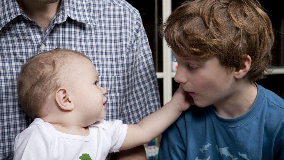 Los “profesores” de 6 meses de edad que enseñan en colegios en varias partes del mundo