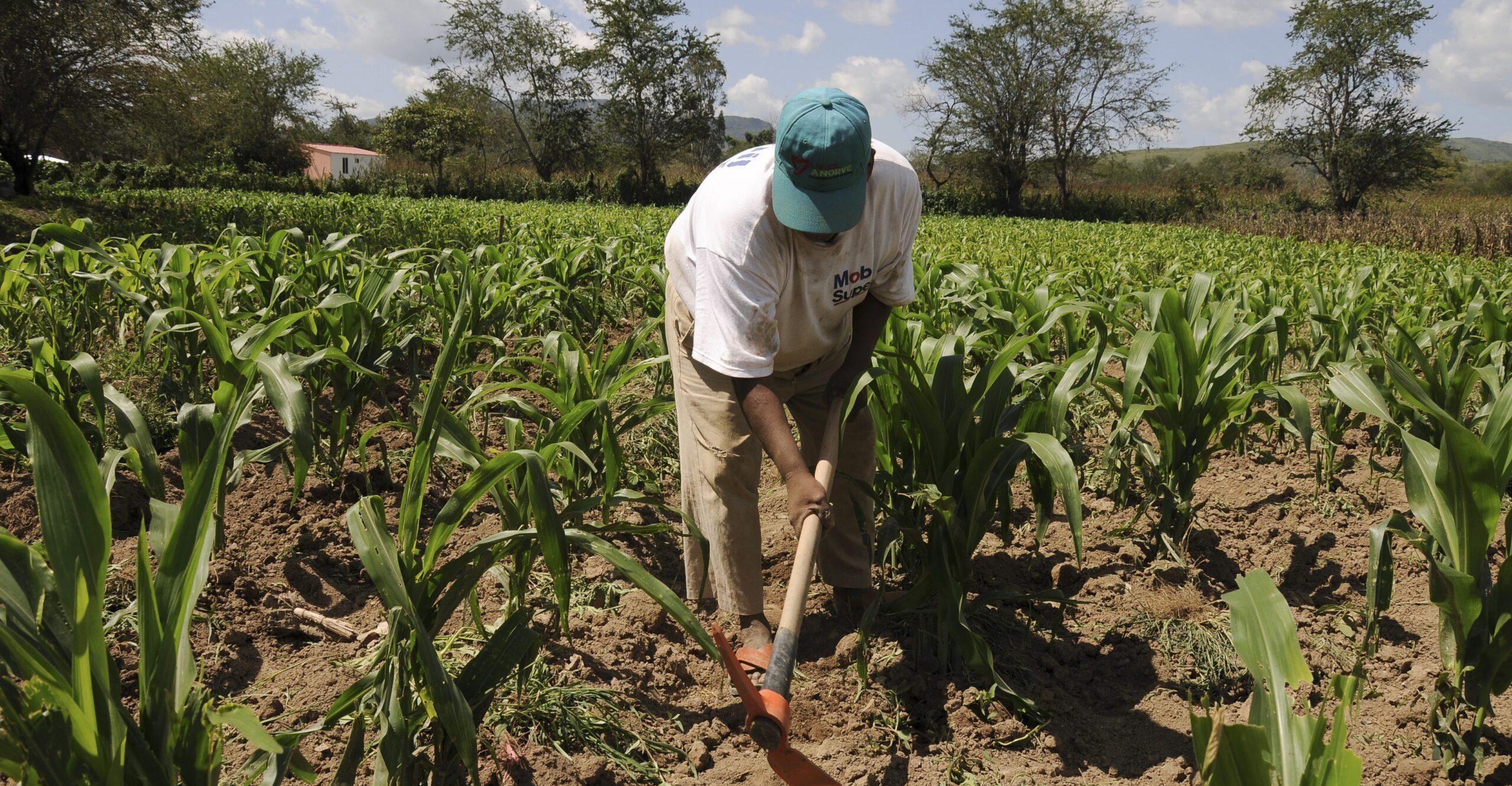 Programa para sanidad y calidad agroalimentaria no comprobó 1,601 mdp, revela la ASF