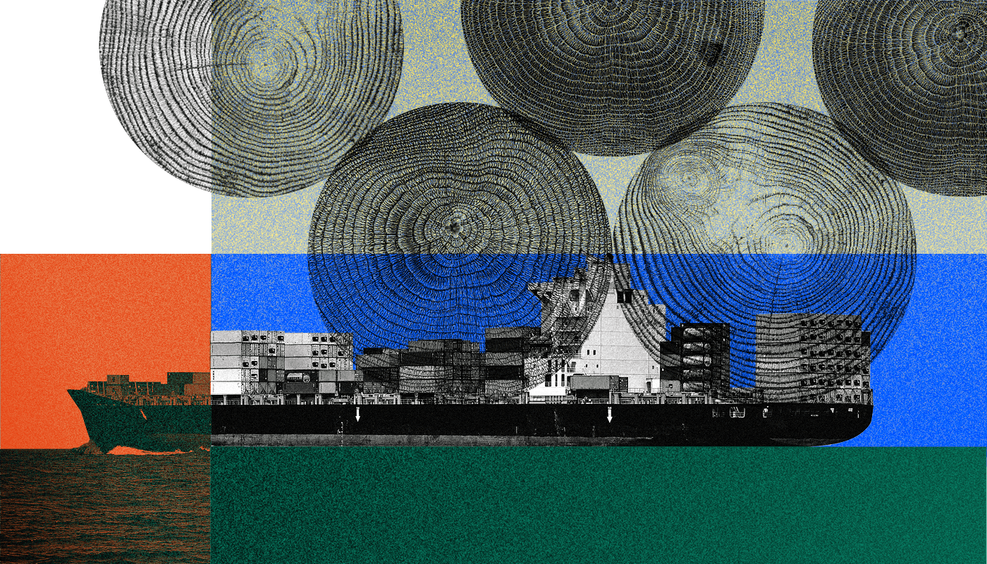 Brasil permitió la tala de árboles en peligro de extinción para exportar madera