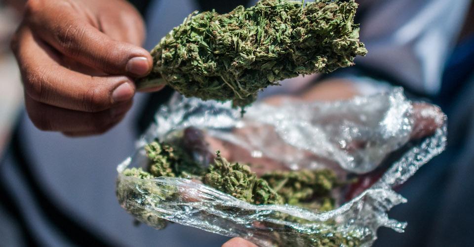 5 ventajas de regular las drogas y cómo beneficiaría a México, según expertos internacionales