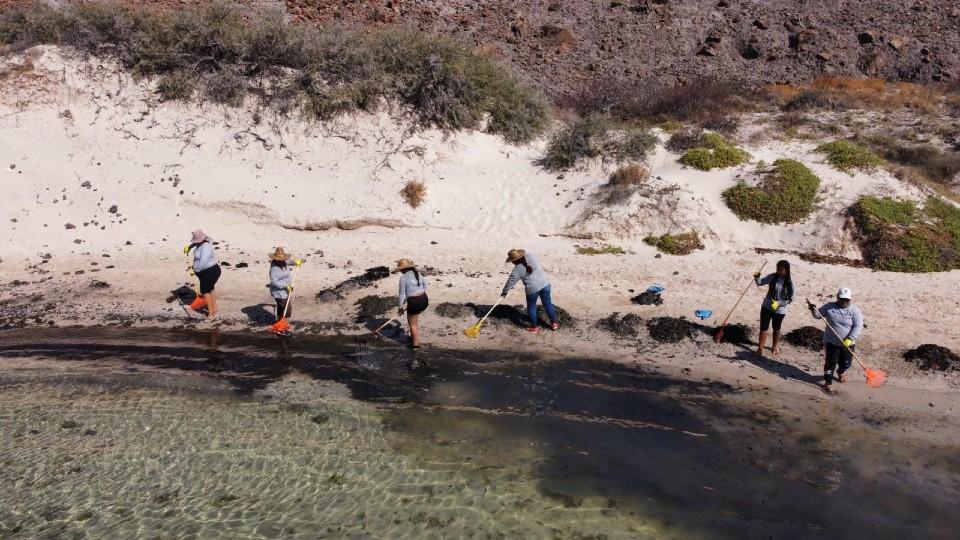 Presentan denuncia ante Profepa por incendio de yate que contaminó playa Balandra
