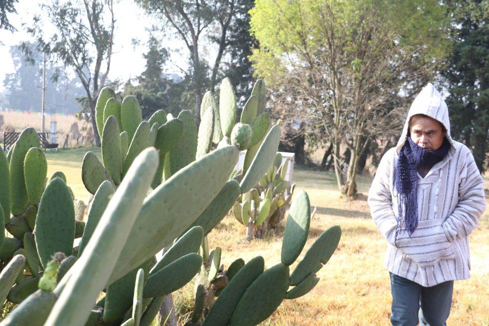 2018 traerá nieve y lluvia con la entrada del frente frío número 20