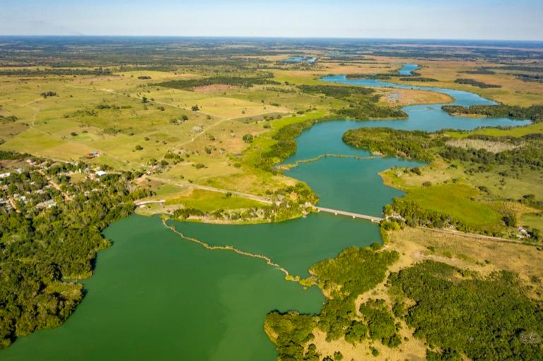 Los manglares revelan nuestro pasado climático y dan pistas sobre el futuro