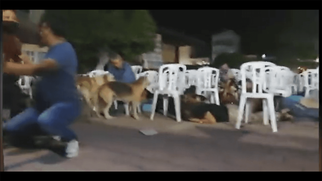 Balacera interrumpe festival en Iguala, Guerrero; reportan un adulto y un menor heridos