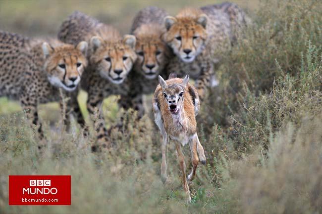 Las imágenes más surrealistas de la naturaleza