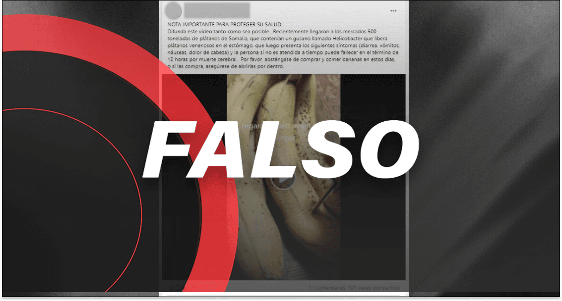 ¡Que no te engañen! Eso de los *plátanos de Somalia con gusanos* es falso