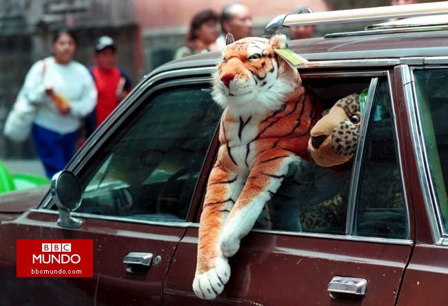 Un zoológico de animales de peluche