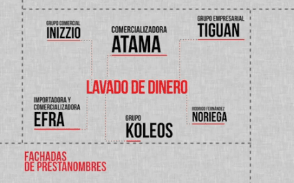 TEPJF encubriría delitos de no anular la elección: Movimiento Progresista
