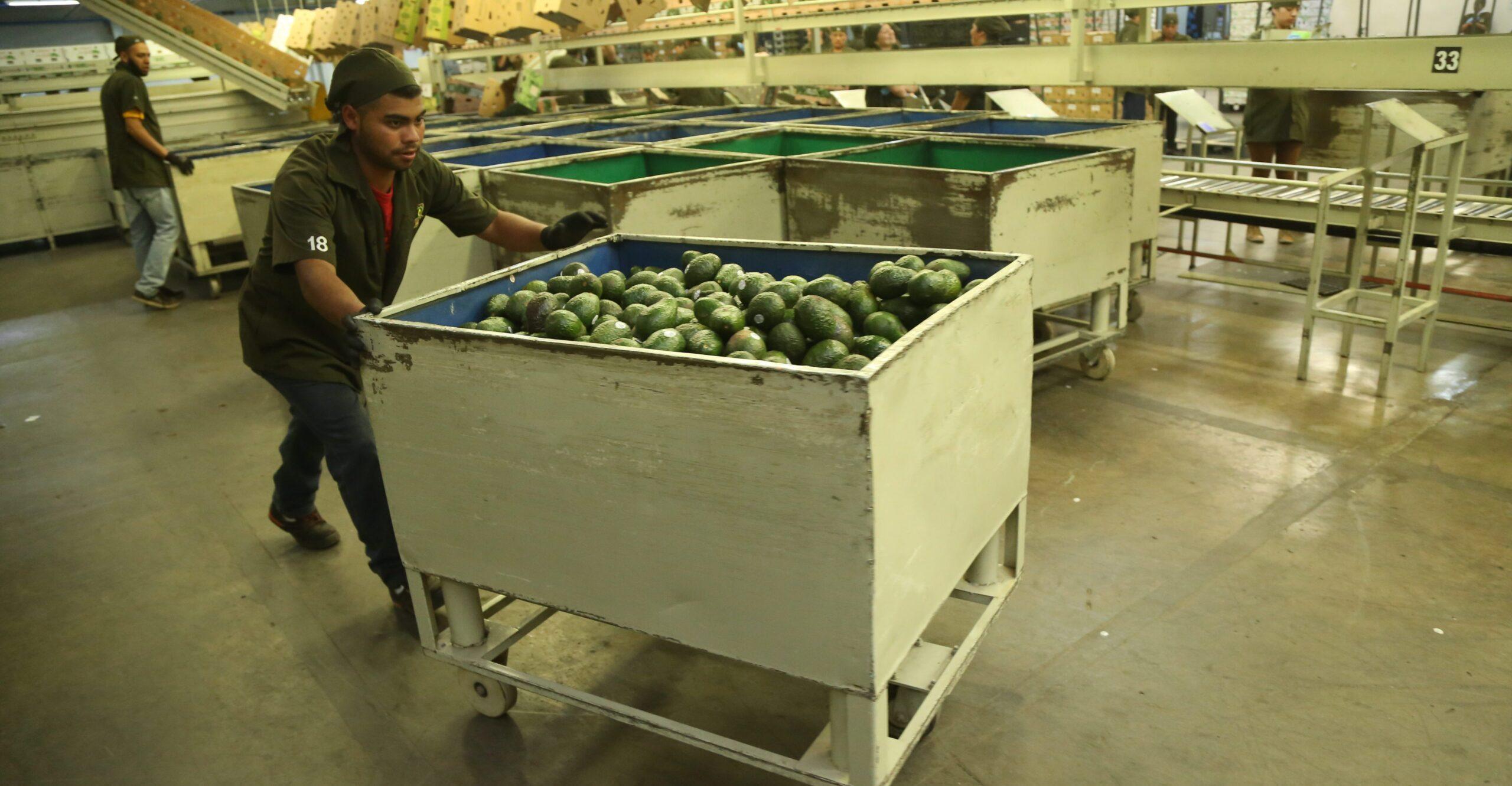 #SemáforoEconómico: México, el segundo mayor exportador a Estados Unidos