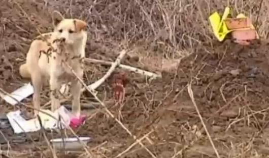 Fiel más allá de la muerte