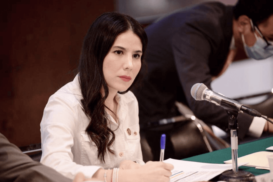 Partido Verde expulsa a diputada que votó contra la reforma eléctrica