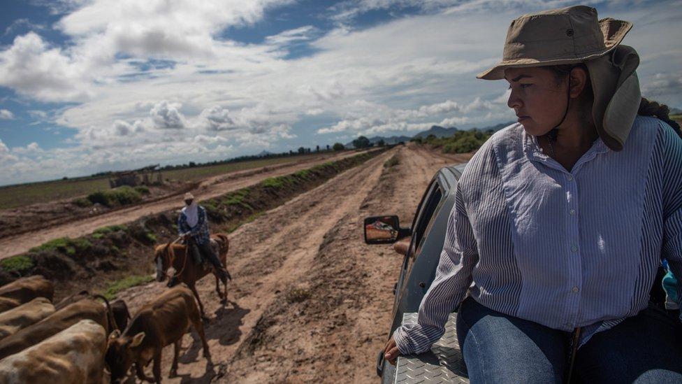 México: buscadoras de El Fuerte, las mujeres que buscan a sus muertos en fosas clandestinas