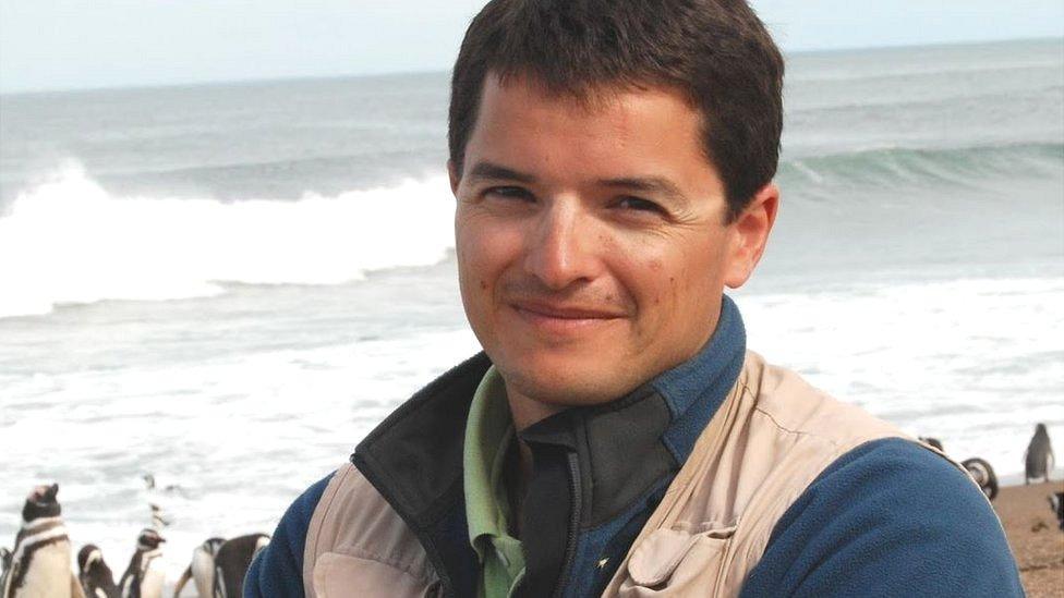 Los fascinantes logros de Pablo García Borboroglú, el argentino que ganó el “Oscar verde” de la ciencia