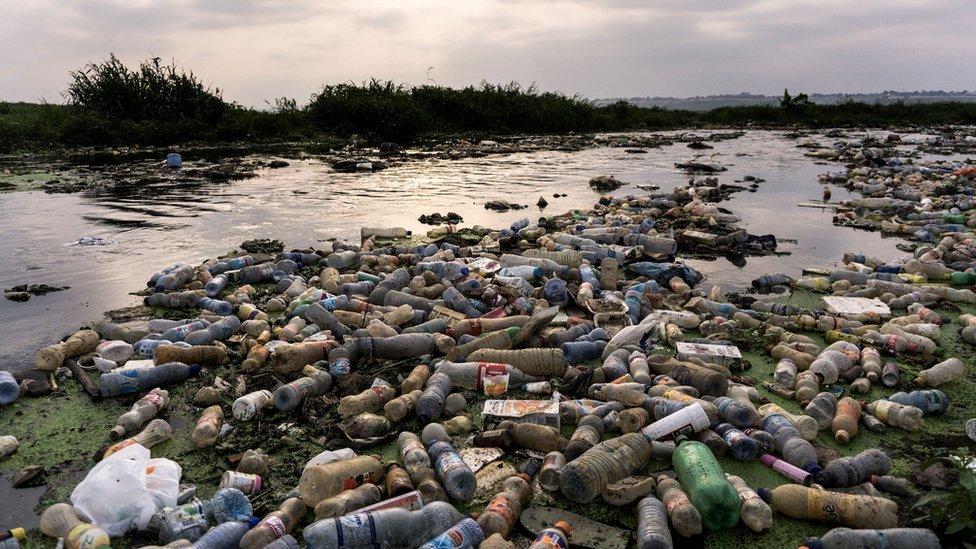 La prometedora enzima creada sin querer que puede ayudar a combatir la crisis del plástico