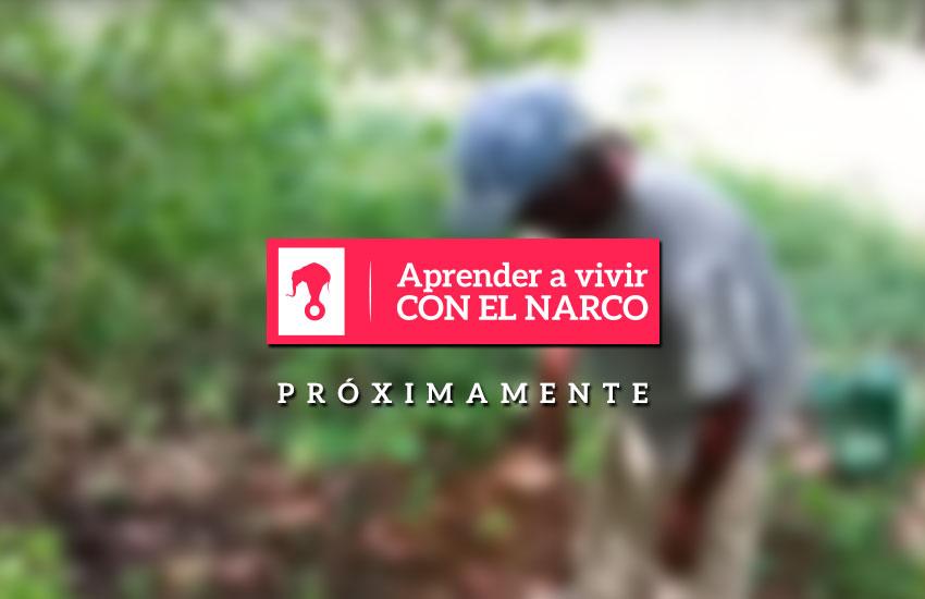 #VivirconelNarco: historias de vidas que cambian por el miedo