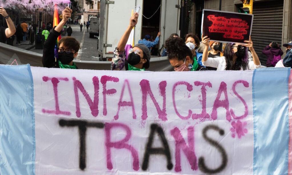 Ni mutilaciones ni hormonas: diputada y publicaciones en redes desinforman sobre infancias trans