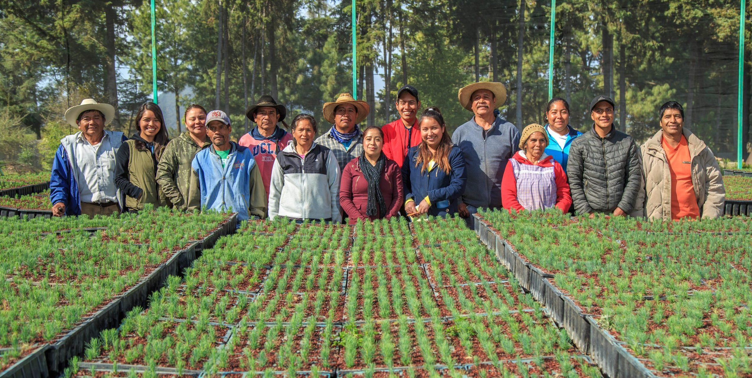 Jornaleros de los bosques, los otros damnificados por la crisis de COVID