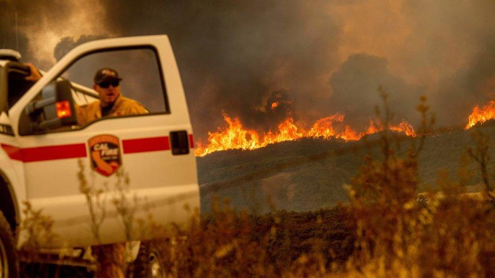 “Es extremadamente peligroso y agresivo”: el imparable incendio forestal Mendocino se convierte en el más grande de la historia de California