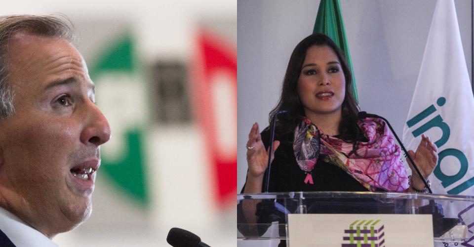 Meade insiste en defender la candidatura de Ximena Puente en el PRI; senadores acusan conflicto de interés