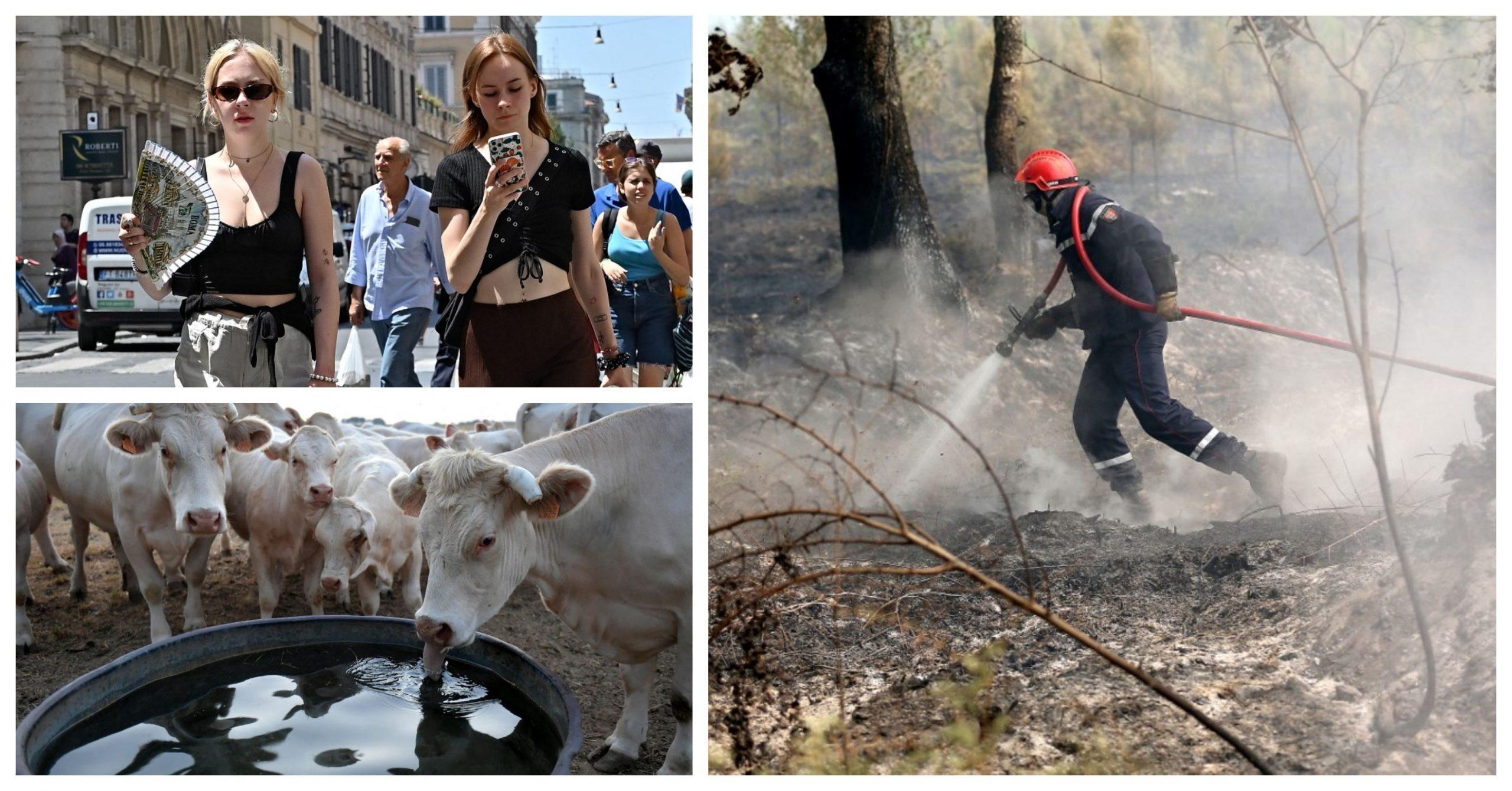 Ola de calor en Europa: Temperaturas de 40 grados, pistas derretidas, incendios y clases suspendidas