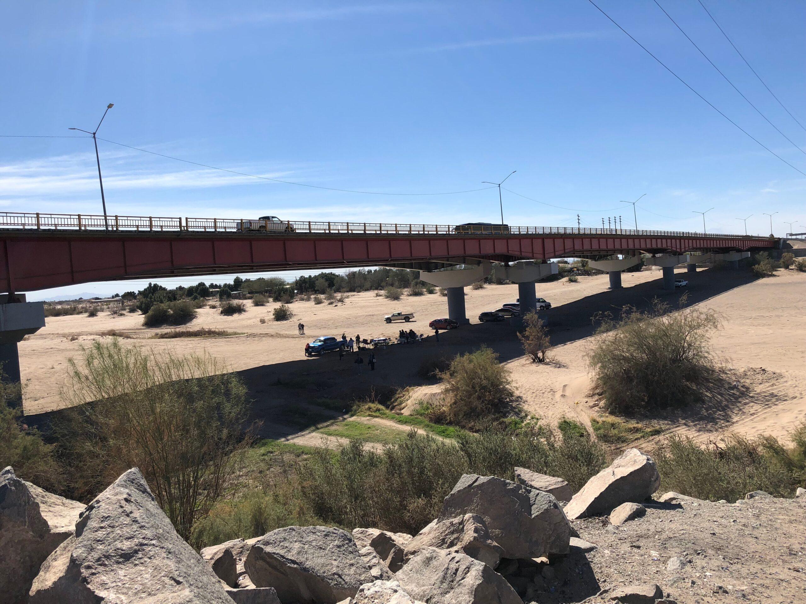 La sociedad vs. el cambio climático: reconstruyen los ecosistemas perdidos del Río Colorado