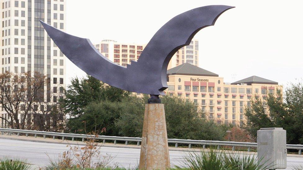 Las fascinantes razones por las que cientos de miles de murciélagos migran desde México hacia un puente en Estados Unidos