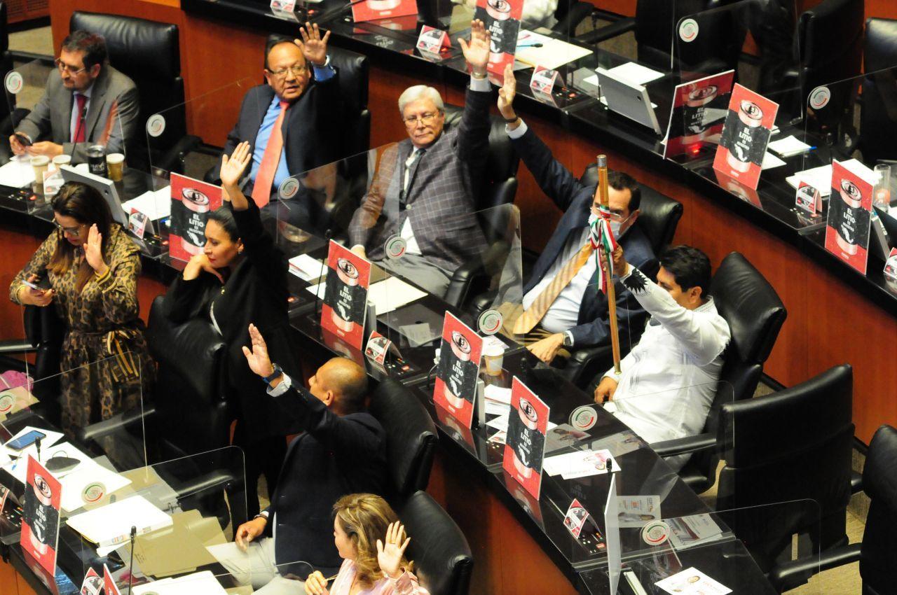 Senado aprueba la Ley Minera para nacionalizar el litio