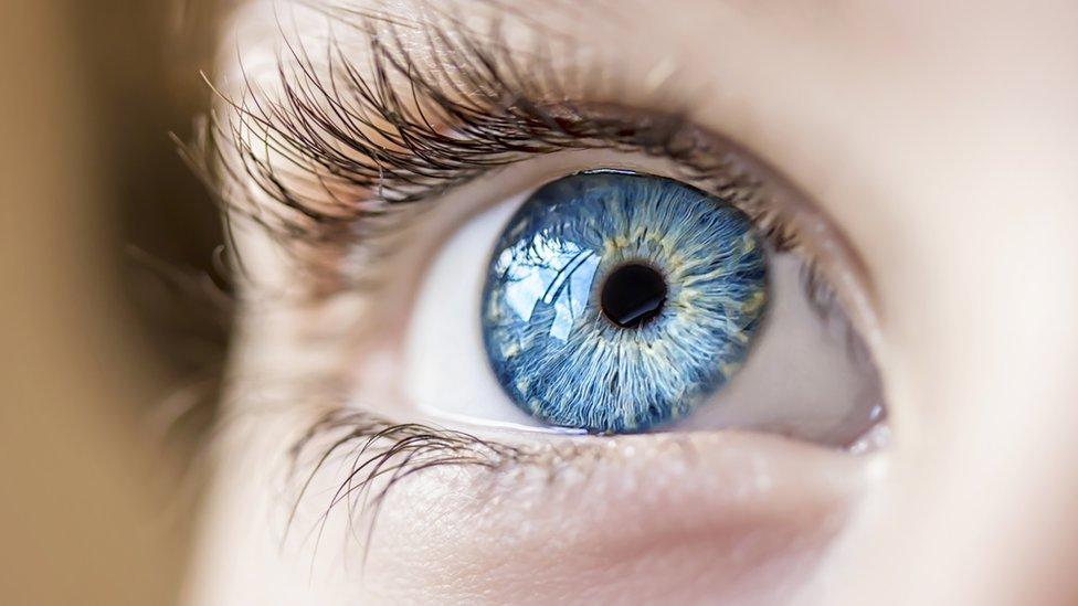 Los secretos detrás de la neuropolítica, el uso de las nuevas tecnologías para “leer tu mente” e influir en lo que votas