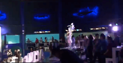 Música y luces de la fiesta de aniversario no dañaron a especies, asegura Acuario de Veracruz