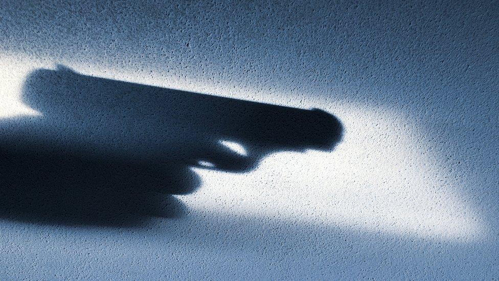 “Es un mito que tener un arma sirva como defensa personal”: el profesor de Harvard que cita 150 estudios para afirmarlo