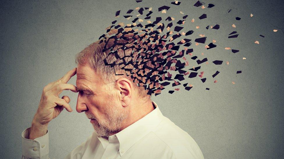 Cómo es lograron realizar el primer “trasplante de memoria” entre animales