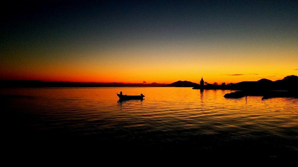 Tus fotos: naturales, artificiales, pero siempre omnipresentes, estos son los colores a través de tu lente