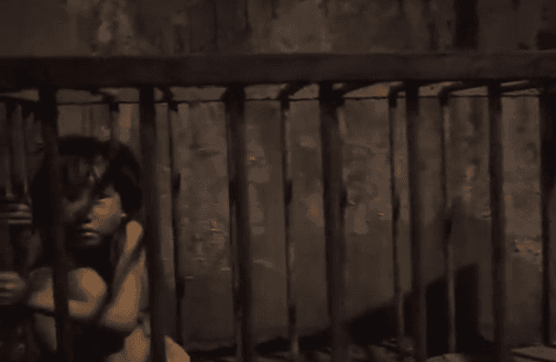 Animales visten prendas hechas con piel humana: nuevo video de PETA