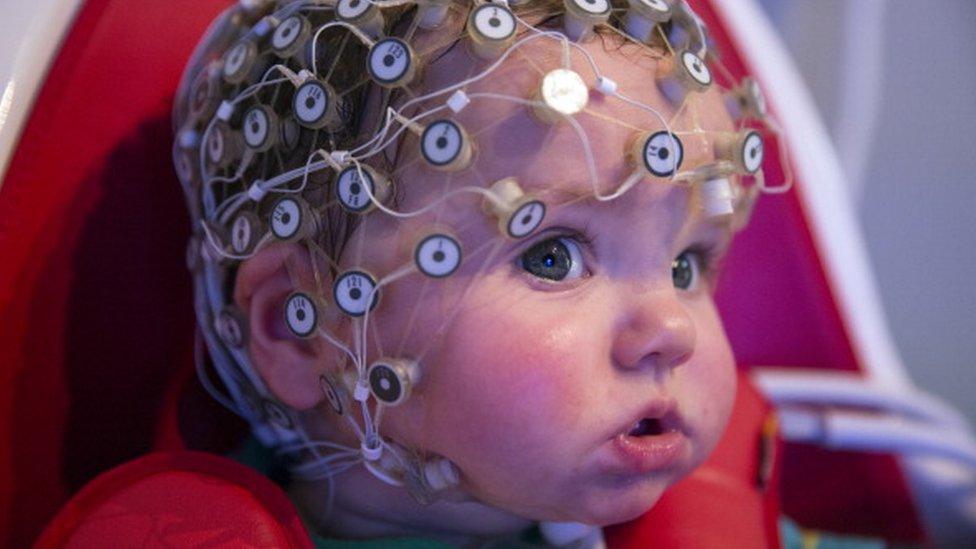 3 mitos extendidos sobre nuestro cerebro que no son ciertos