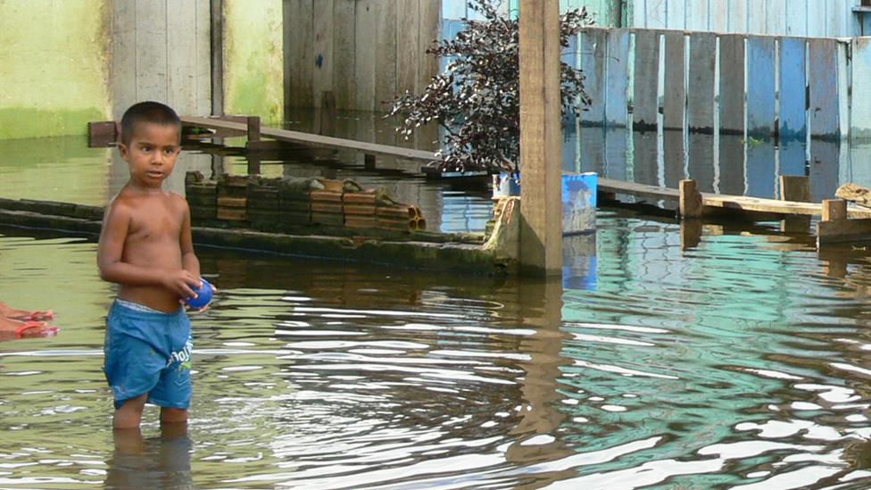 Por qué una diferencia de temperatura entre el Atlántico y el Pacífico causó un aumento dramático de las inundaciones extremas en el río Amazonas