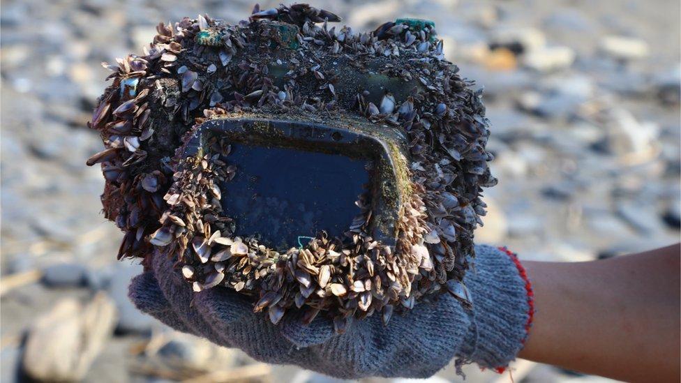 El increíble viaje de la cámara fotográfica que pasó más de dos años perdida en el mar y volvió a encontrar a su dueña