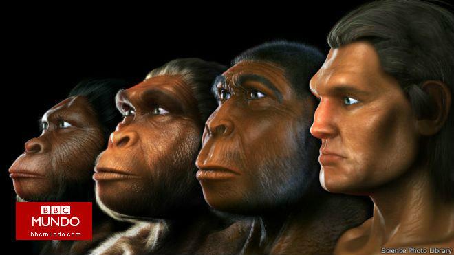 Los 15 cambios que nos hicieron humanos