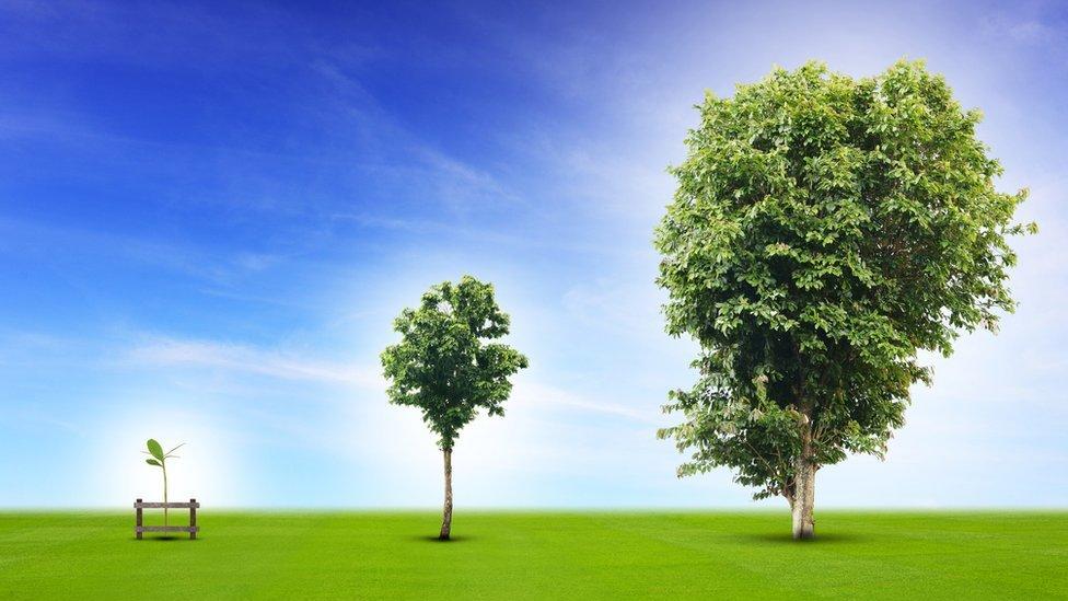 Estupendo, muy estupendo, superestupendo, estupendísimo, requetestupendo, megaestupendo, hiperestupendo… Los mecanismos en español para hacer todo más grande