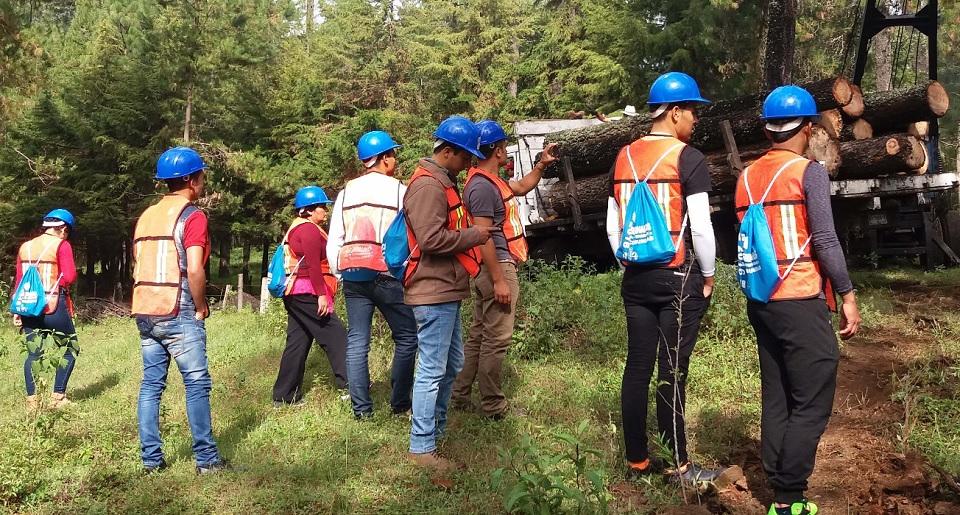 Comunidades en México demuestran que es posible vivir del bosque y, al mismo tiempo, conservarlo